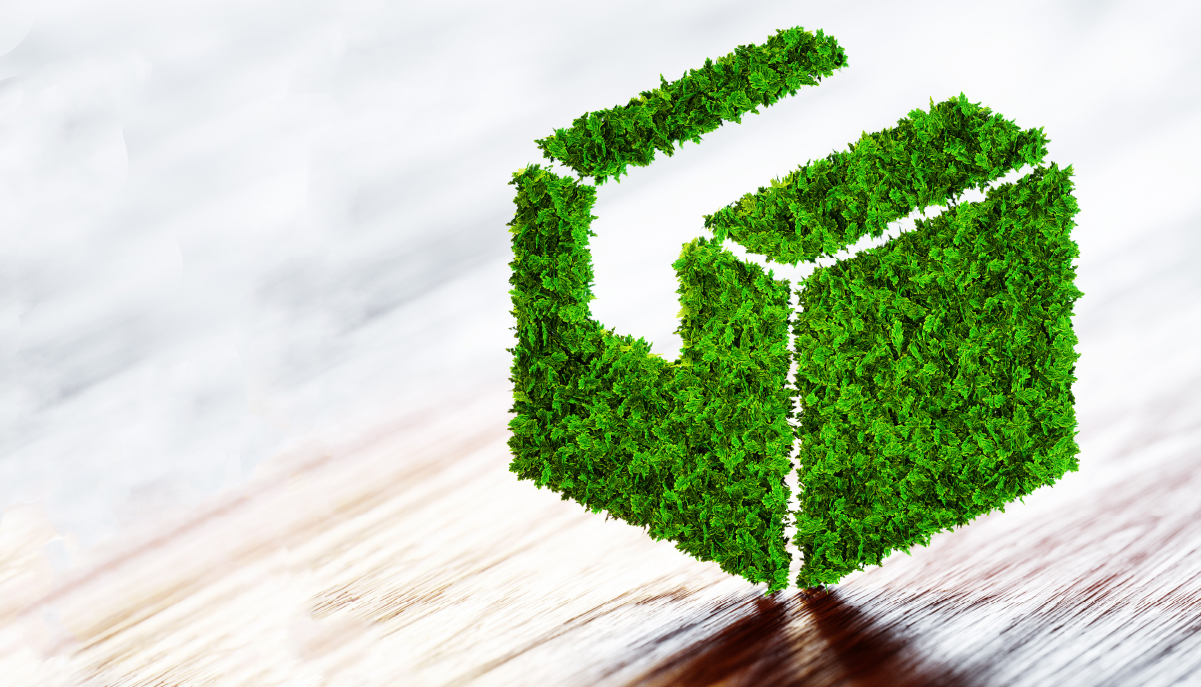 Green with envy: Setting sustainable eCommerce brands apart