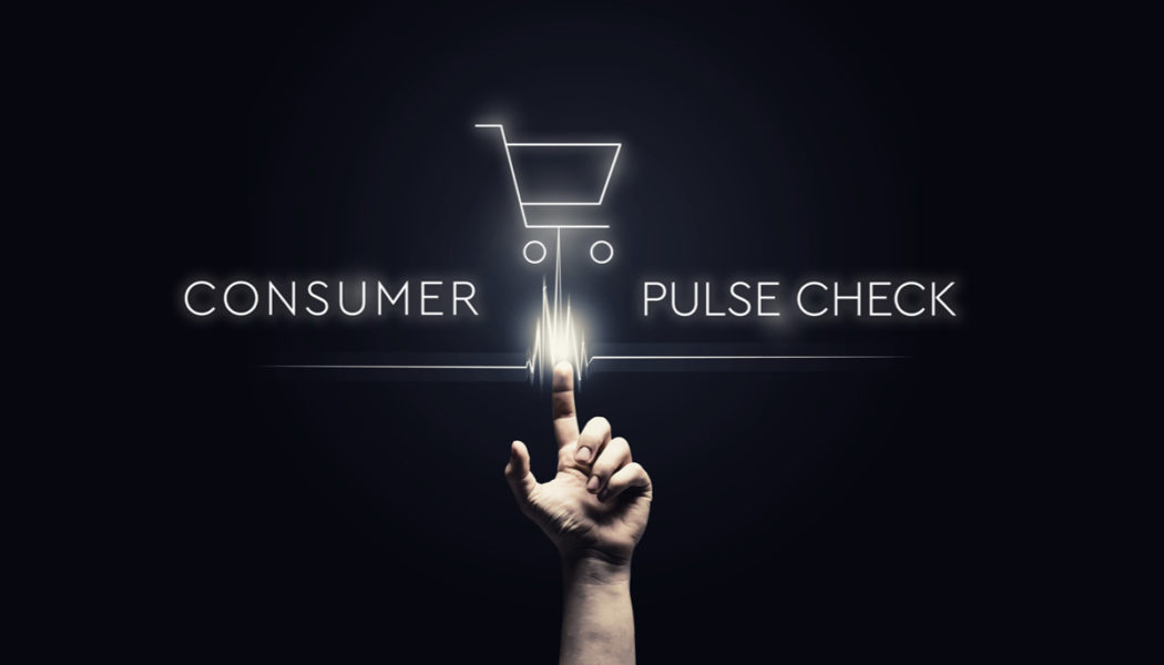 Consumer Pulse Check